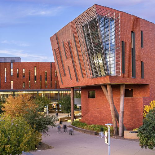Arizona State Universiteti